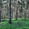 10 c Wanderung bei Lauterburg